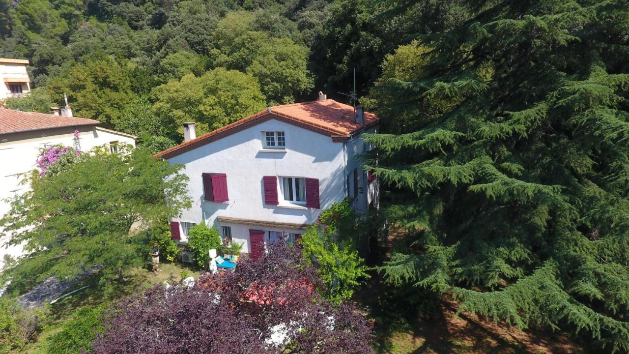Villa Riviera Chambres Privees Amélie-les-Bains-Palalda Exteriör bild