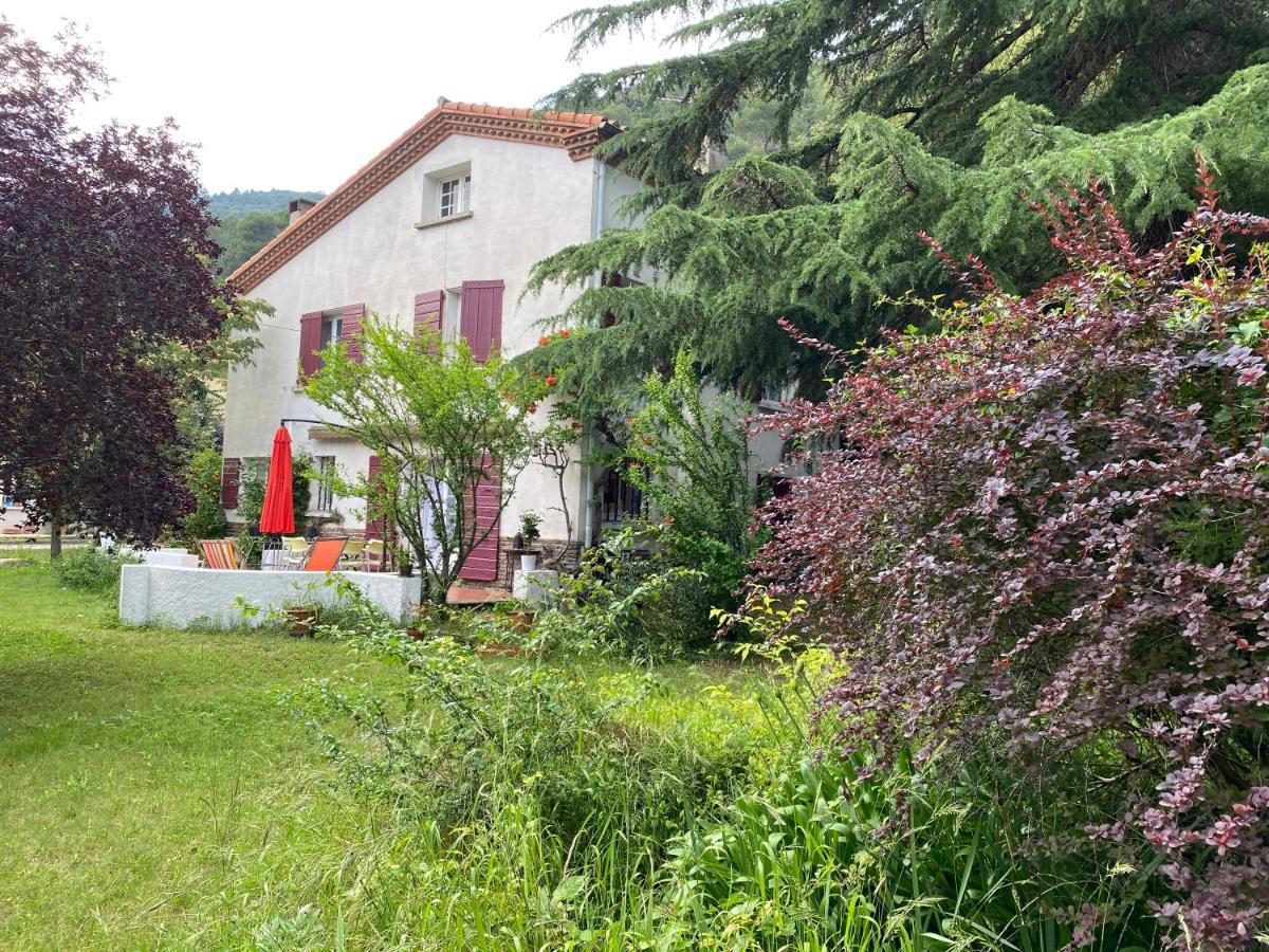 Villa Riviera Chambres Privees Amélie-les-Bains-Palalda Exteriör bild
